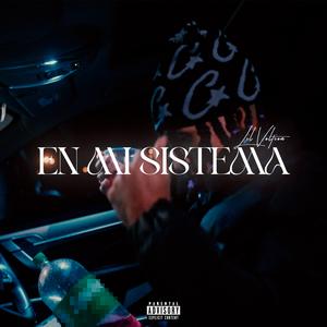 EN MI SISTEMA
