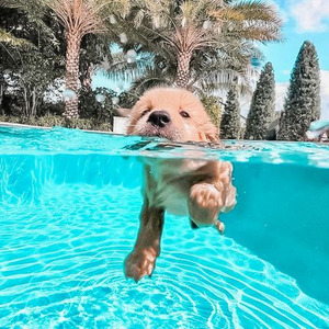 Just Can't Quit (sped up)