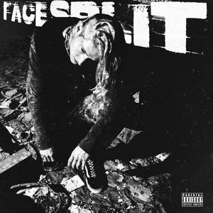 FACESPLIT