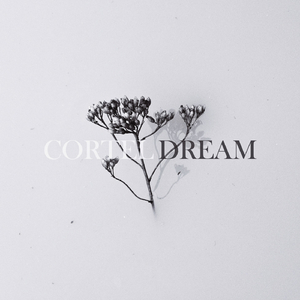 Dream (Original Mix)