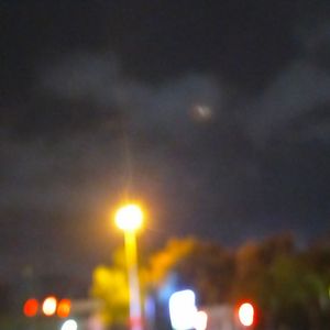 游荡