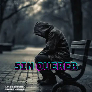 Sin Querer