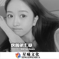 夜的第七章 (DJ版)