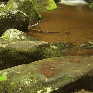 适合[官方最新消息]的背景音乐