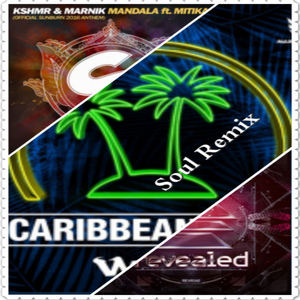 Soul - W&W & Hardwell & KSHMR,Marnik,Mitika - Don't Stop Mandala Rave (Soul Mashup)