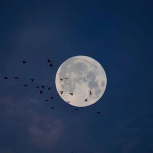 月光（Prod.Gr33nart Beats）