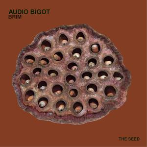 Brim (Bill Kraemer Remix)