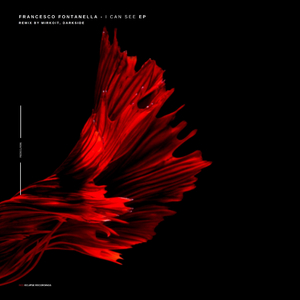 I Can See (Darkside Remix)