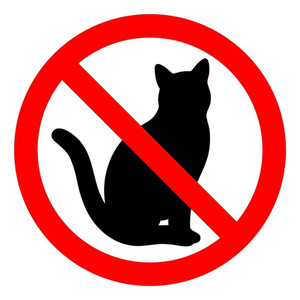 Ркн, трахни меня плиз