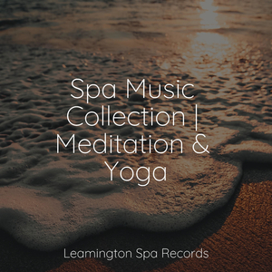 Meditative State of Mind