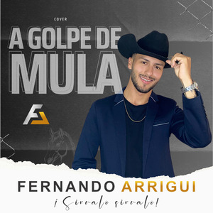A Golpe de Mula