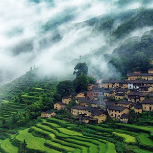 我爱你，但不因你而什么