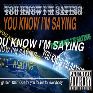 You know i'm saying