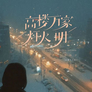 高楼万家灯火明(DJ版)