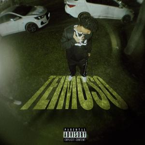 Teimoso