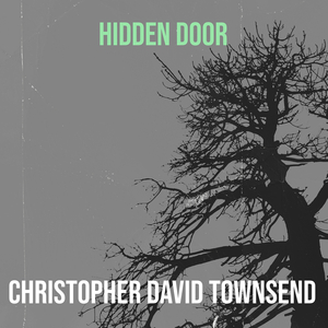 Hidden Door
