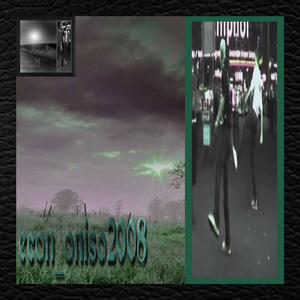 Econ_Oniso2008
