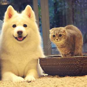 过云雨（翻自 Hins）