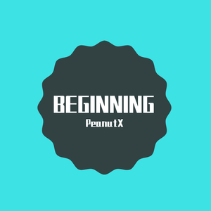 BEGINNING