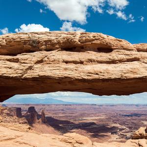 你知道吗？雪会写诗