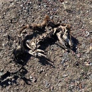 SEVERYAHEAD (feat. LXXIV, Citrate & Kashimotu)