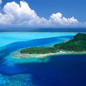 Coffee DJ弹鼓 2023 抖音版