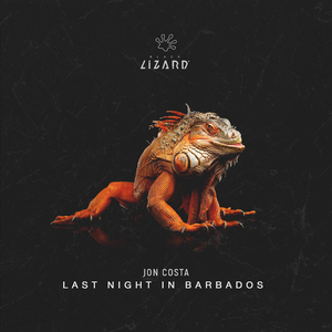 Last Night In Barbados (Extended Mix)