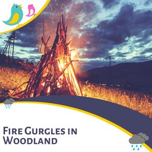 The Flames Leaped High