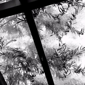 我的冬天有一支无尽夏