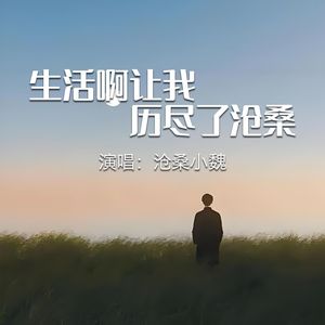 生活啊让我历尽了沧桑