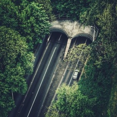 反复听着歌的时候梧桐叶子死去