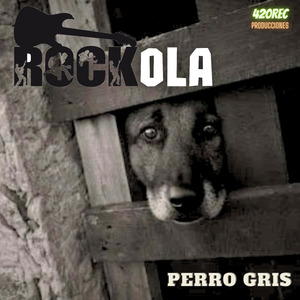 Perro Gris