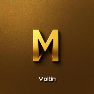 Voitin