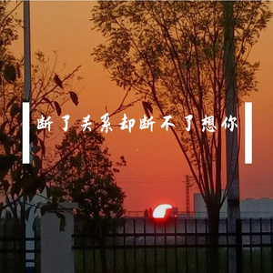 断了联系却断不了想你