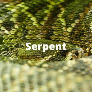 Serpent