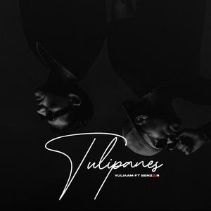 Tulipanes