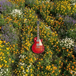 เพลงสุดท้าย