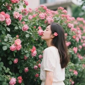 羞答答的玫瑰静悄悄地开 (Cover 孟庭苇)