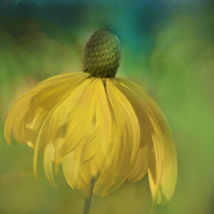 차분한 마음이 되길