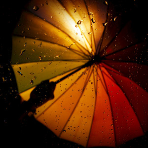 Under the Umbrella