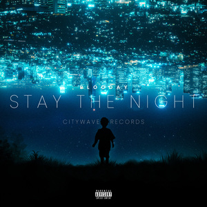 Stay The Night