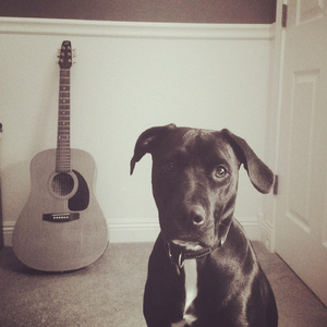 Free from the Wait (feat. Andy King)