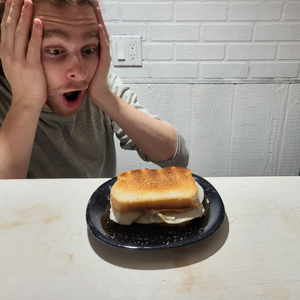 Rewinding the VHS Tape of Myself Eating a Ham Sandwich Last Sunday