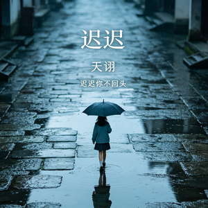 迟迟你不回头