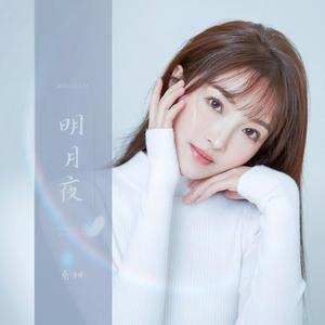 明月夜 (DJ小蒋版)