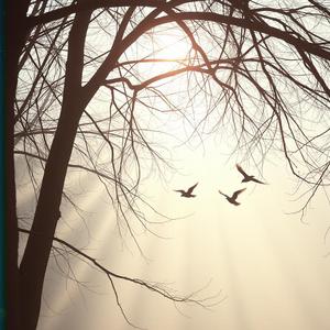 朝のあたたかな光