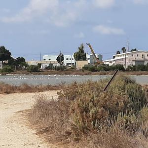 לכתי במדבר 7.10