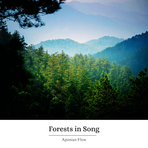 Forests In Song