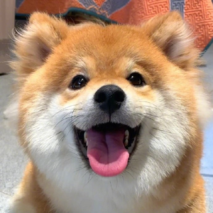 如是我闻 （红颜 remix）