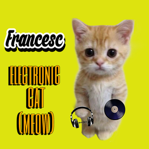 Electronic Cat (Meow)